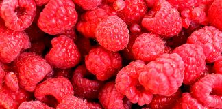 The Power of Antioxidants: How They Can Improve Your Health