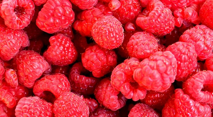 The Power of Antioxidants: How They Can Improve Your Health