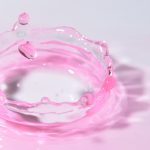 The Health Benefits of Fermented Foods: Why You Should Add Them to Your Diet