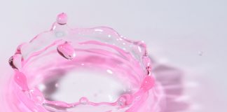 The Health Benefits of Fermented Foods: Why You Should Add Them to Your Diet