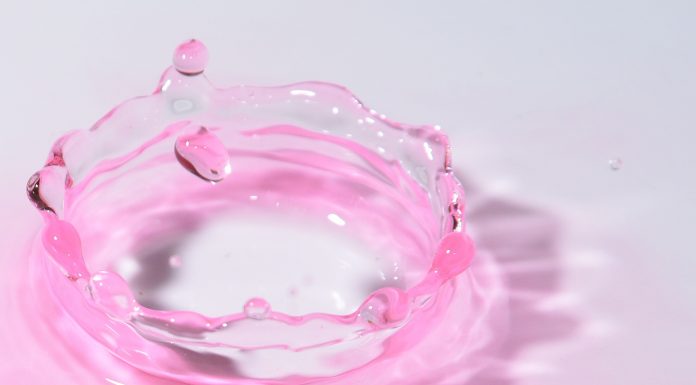 The Health Benefits of Fermented Foods: Why You Should Add Them to Your Diet