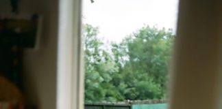 How to Create a Healthy Work-Life Balance: Tips for Finding Harmony in Your Life